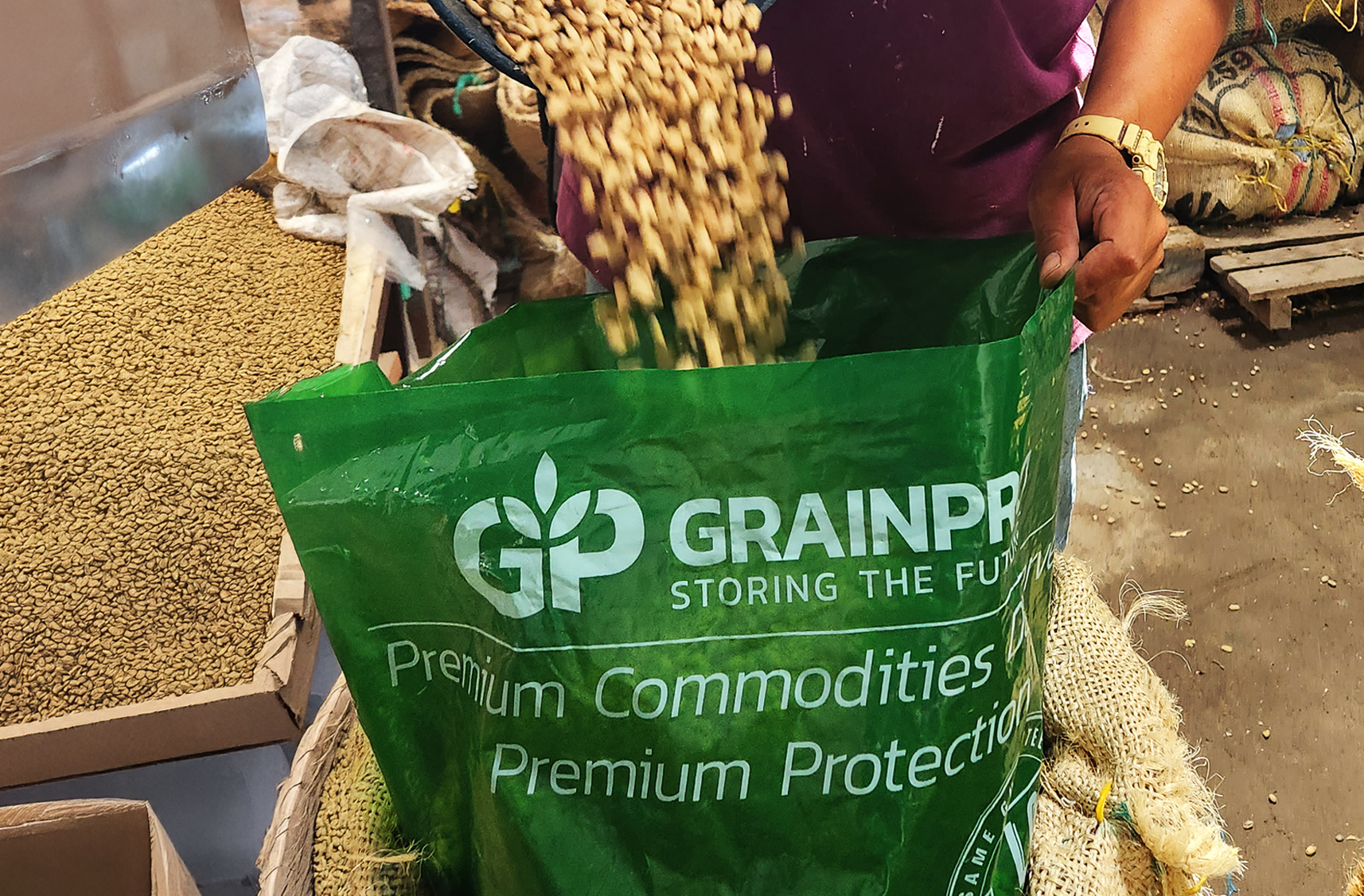 Bolsas GrainPro 4
